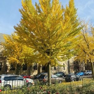 Meet your Posher, Nick